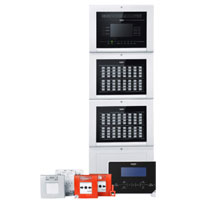 ���ֱ���������(������)